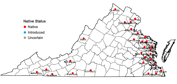 Locations ofCeratophyllum demersum L. in Virginia