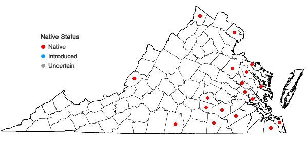 Locations ofCeratophyllum echinatum A. Gray in Virginia
