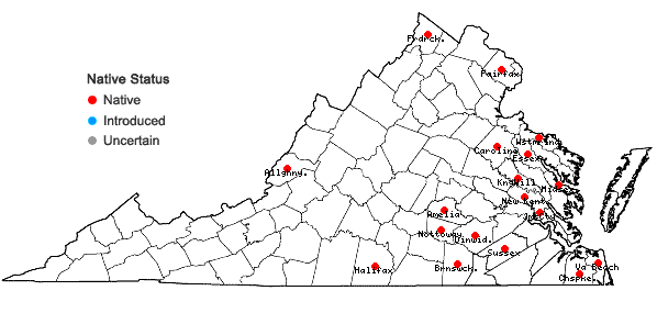 Locations ofCeratophyllum echinatum A. Gray in Virginia