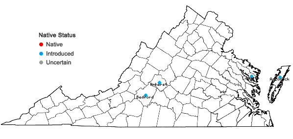 Locations ofChaenomeles japonica (Thunb.) Lindl. in Virginia