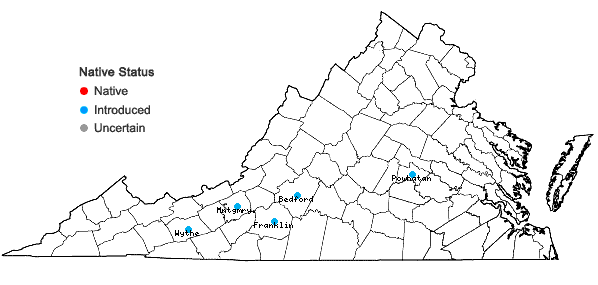 Locations ofChaenomeles speciosa (Sweet) Nakai in Virginia