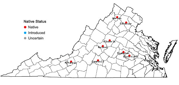 Locations ofChaerophyllum procumbens (L.) Crantz var. shortii Torr. & Gray in Virginia