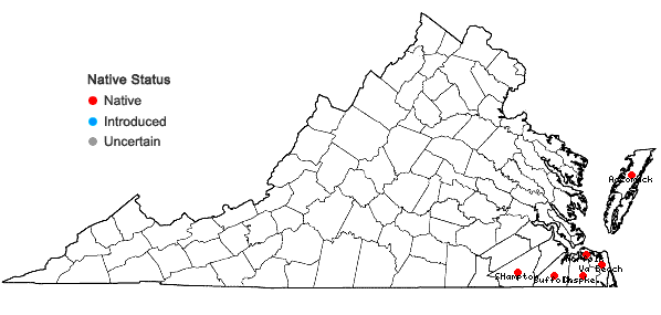 Locations ofChamaecyparis thyoides (L.) BSP in Virginia