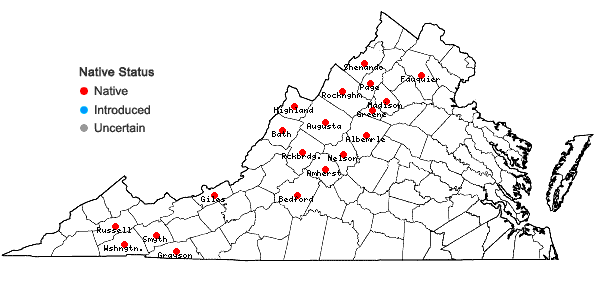 Locations ofChamaenerion angustifolium (Linnaeus) Scopoli ssp. circumvagum (Mosquin) Moldenke in Virginia