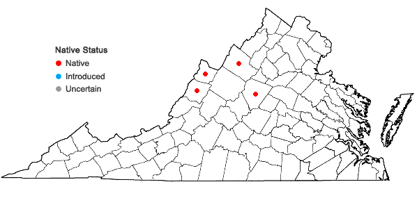 Locations ofChamaepericlymenum canadense (L.) Ascherson & Graebner in Virginia