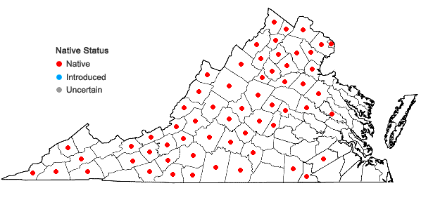 Locations ofCheilanthes lanosa (Michx.) D.C. Eat. in Virginia