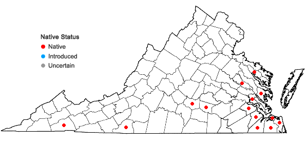 Locations ofCheilolejeunea conchifolia (A. Evans) W. Ye & R.L. Zhu     in Virginia