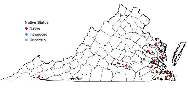 Locations ofCheilolejeunea conchifolia (A. Evans) W. Ye & R.L. Zhu     in Virginia