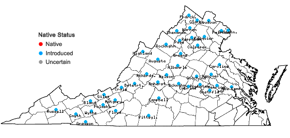 Locations ofChelidonium majus L. in Virginia