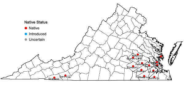 Locations ofChelone cuthbertii Small in Virginia