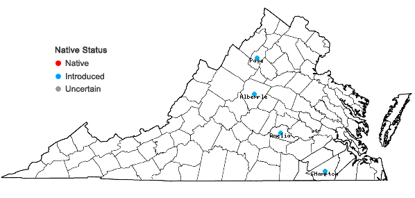 Locations ofChenopodium pratericola Rydberg in Virginia