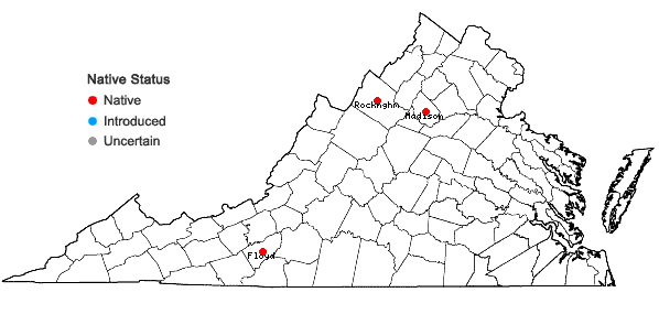 Locations ofChiloscyphus polyanthos (L.) Corda var. rivularis (Schrad.) Nees in Virginia