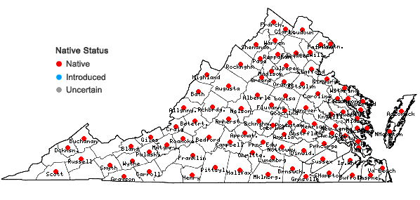 Locations ofChionanthus virginicus L. in Virginia