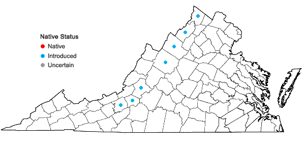 Locations ofChloris verticillata Nutt. in Virginia