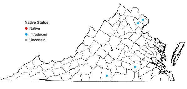 Locations ofChloris virgata Sw. in Virginia