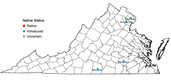 Locations ofChloris virgata Sw. in Virginia