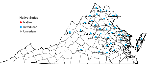Locations ofChondrilla juncea L. in Virginia