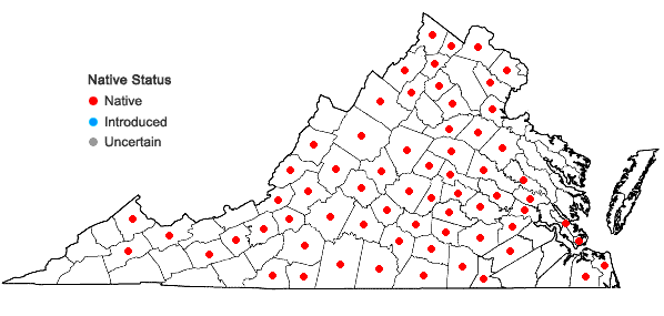 Locations ofChrysogonum virginianum L. var. virginianum in Virginia