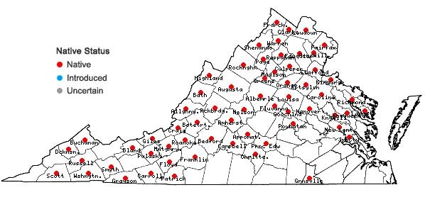 Locations ofChrysosplenium americanum Schwein. ex Hook. in Virginia