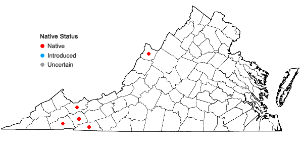 Locations ofCinna latifolia (Trev. ex Goepp.) Griseb. in Virginia