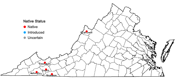 Locations ofCinna latifolia (Trev. ex Goepp.) Griseb. in Virginia