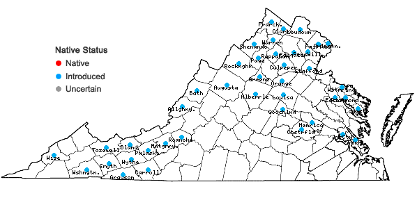 Locations ofCirsium arvense (L.) Scop. in Virginia