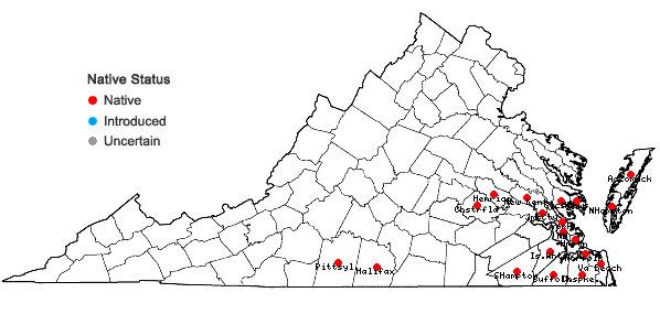 Locations ofCirsium horridulum Michx. var. horridulum in Virginia