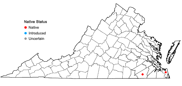Locations ofCirsium nuttallii DC. in Virginia