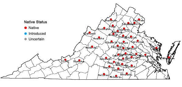 Locations ofCirsium pumilum (Nutt.) Spreng. in Virginia