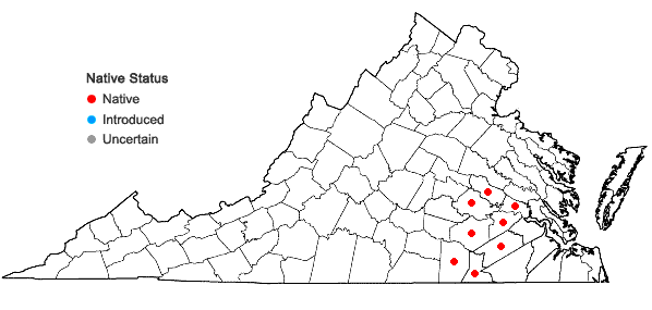 Locations ofCirsium virginianum (L.) Michx. in Virginia