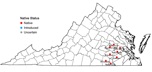 Locations ofCirsium virginianum (L.) Michx. in Virginia