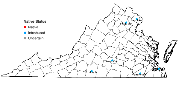 Locations ofCitrullus lanatus (Thunb.) Matsumura & Nakai in Virginia