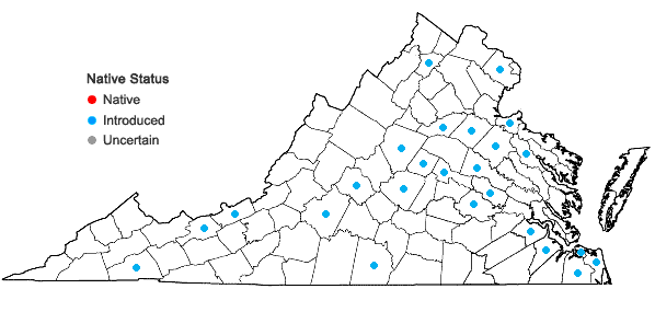 Locations ofCitrus trifoliata L. in Virginia