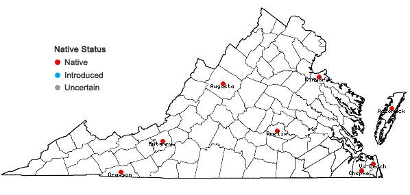 Locations ofCladium mariscoides (Muhl.) Torrey in Virginia