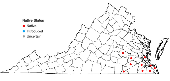 Locations ofCleistesiopsis divaricata (L.) Pansarin & F. Barros in Virginia