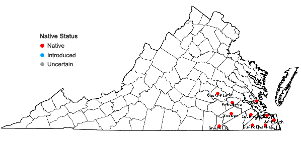 Locations ofCleistesiopsis divaricata (L.) Pansarin & F. Barros in Virginia