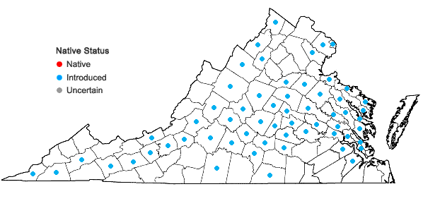 Locations ofClinopodium calamintha (L.) Stace in Virginia