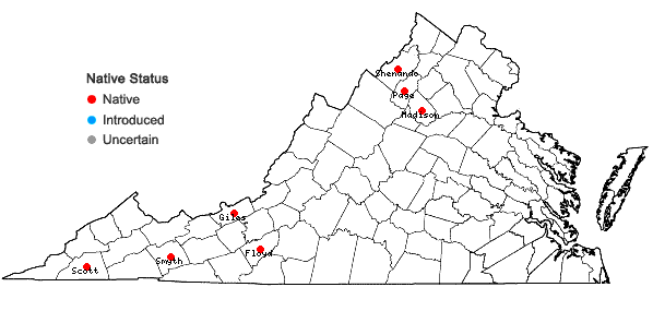 Locations ofCodriophorus acicularis (Hedw.) P. Beauv. in Virginia