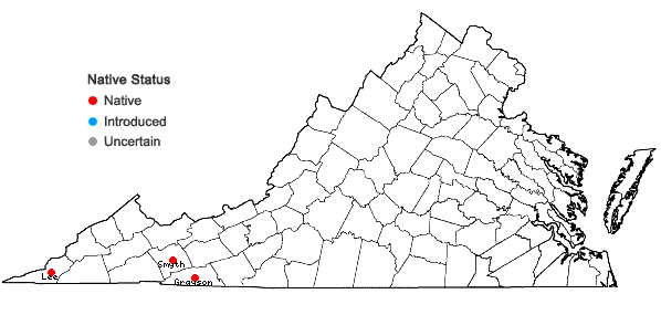 Locations ofCodriophorus aduncoides (Bednarek-Ochyra) Bednarek-Ochyra & Ochyra in Virginia