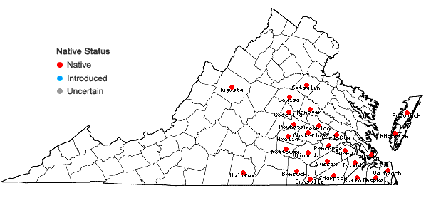 Locations ofColeataenia longifolia (Torrey) Soreng ssp. longifolia in Virginia