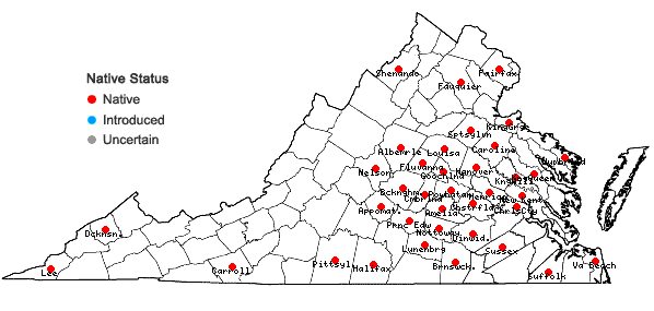 Locations ofColeataenia pulchra (F. Dietrich) Mabberley & LeBlond in Virginia