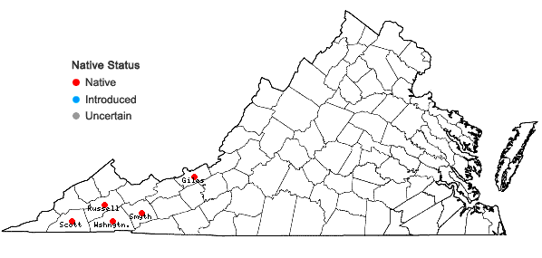Locations ofCollinsia verna Nutt. in Virginia