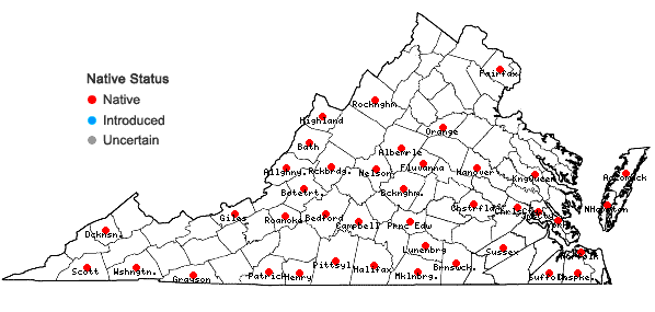 Locations ofCololejeunea biddlecomiae (Austin ex Pearson) A. Evans in Virginia