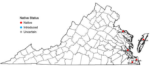 Locations ofCololejeunea cardiocarpa (Mont.) A. Evans in Virginia