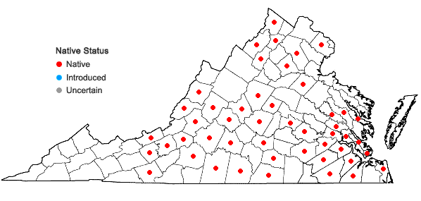 Locations ofCommelina erecta L. in Virginia