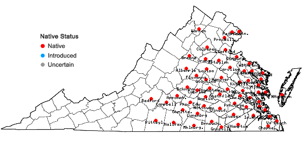 Locations ofCommelina virginica L. in Virginia
