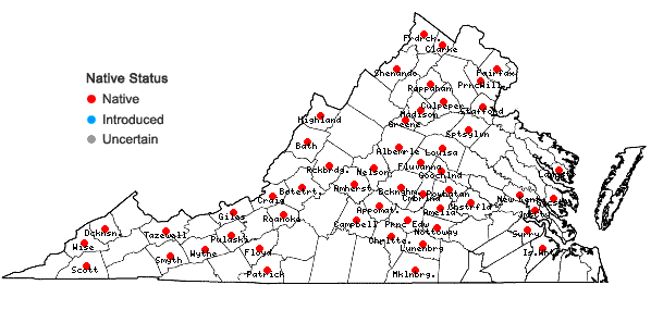 Locations ofConocephalum salebrosum Szweyk., Buczk. & Odrzyk. in Virginia
