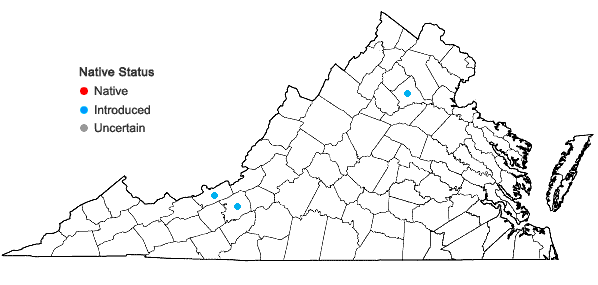 Locations ofConringia orientalis (Linnaeus) Andrzejowski in Virginia