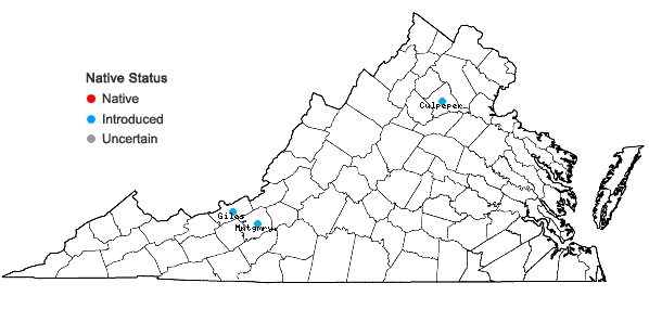 Locations ofConringia orientalis (Linnaeus) Andrzejowski in Virginia