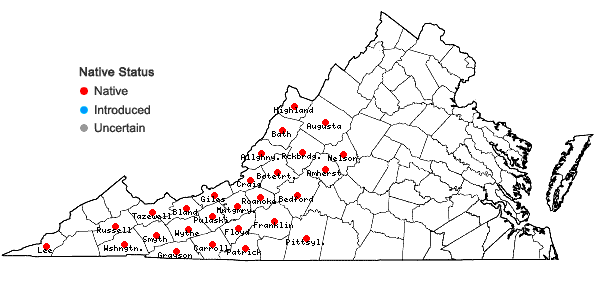 Locations ofConvallaria pseudomajalis Bartram in Virginia